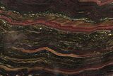 Polished Tiger Iron Stromatolite Slab - Billion Years #234822-1